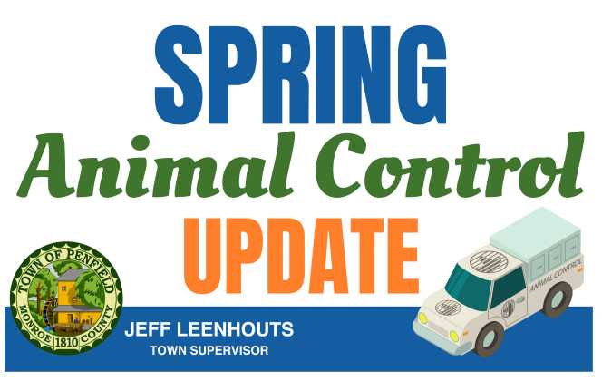 Spring Animal Control Image