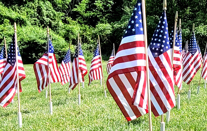 IMAGE_Flags at Veterans Memorial Park