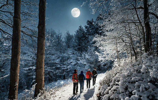 4 adults hiking in woods in moonlight